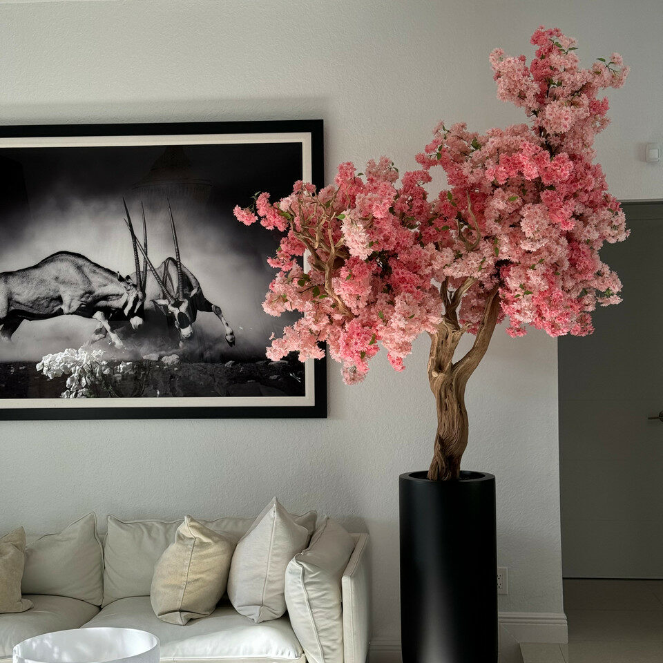 BlackBloom Cherry Tree