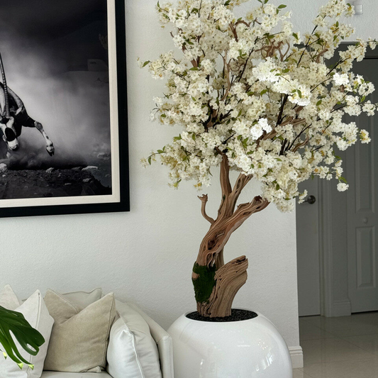 CelestiBloom Cherry Tree