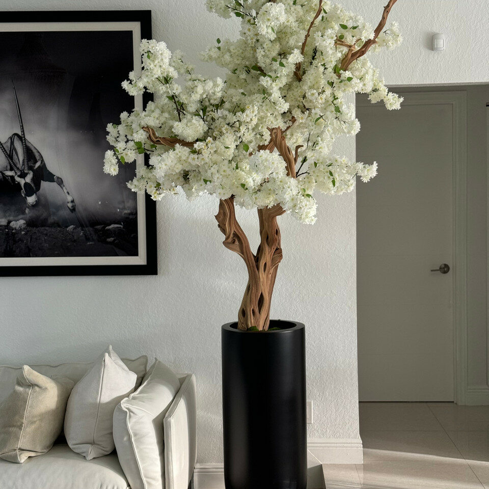 IvoryShadow Cherry Tree